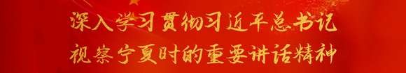 深入學習貫徹習近平總書記 視察寧夏時的重要講話精神